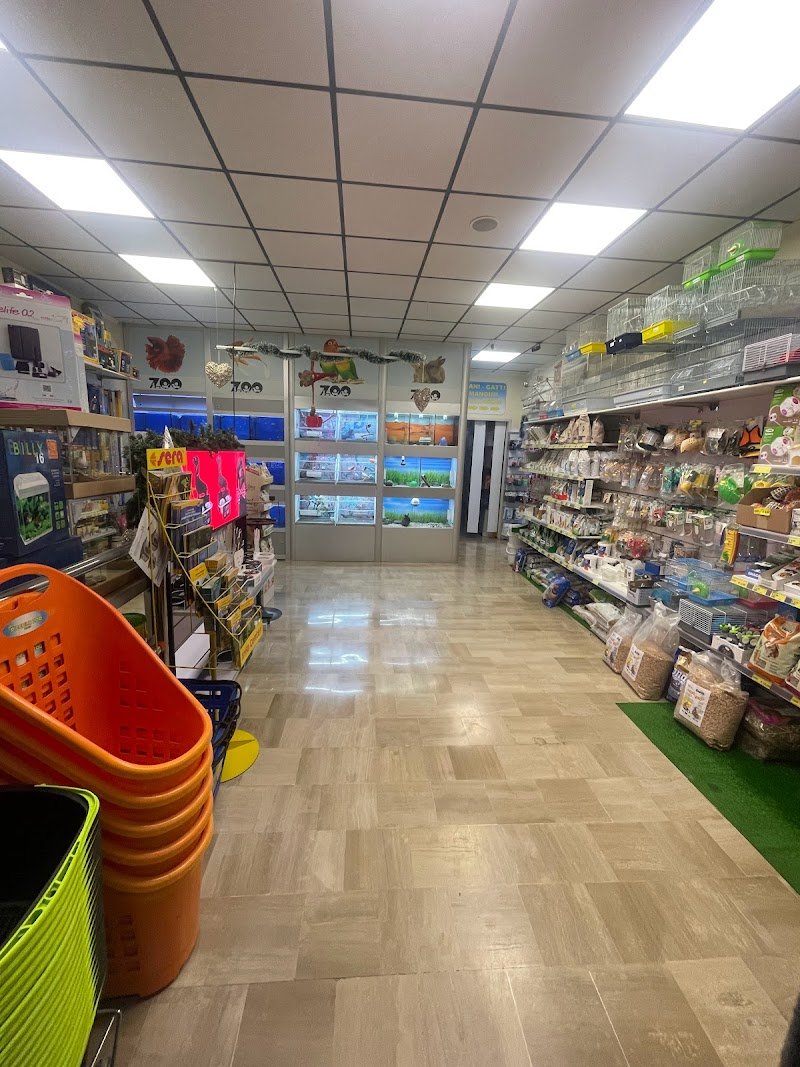 Piccolozoo s.r.l - Foto 2