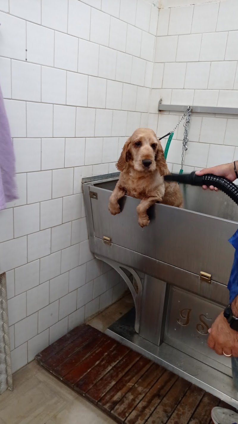 Piccolozoo s.r.l - Foto 6