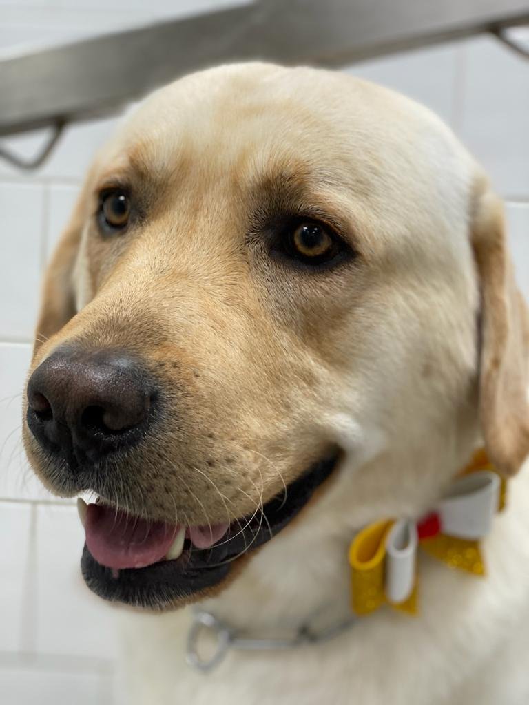 Piccolozoo s.r.l - Foto 3