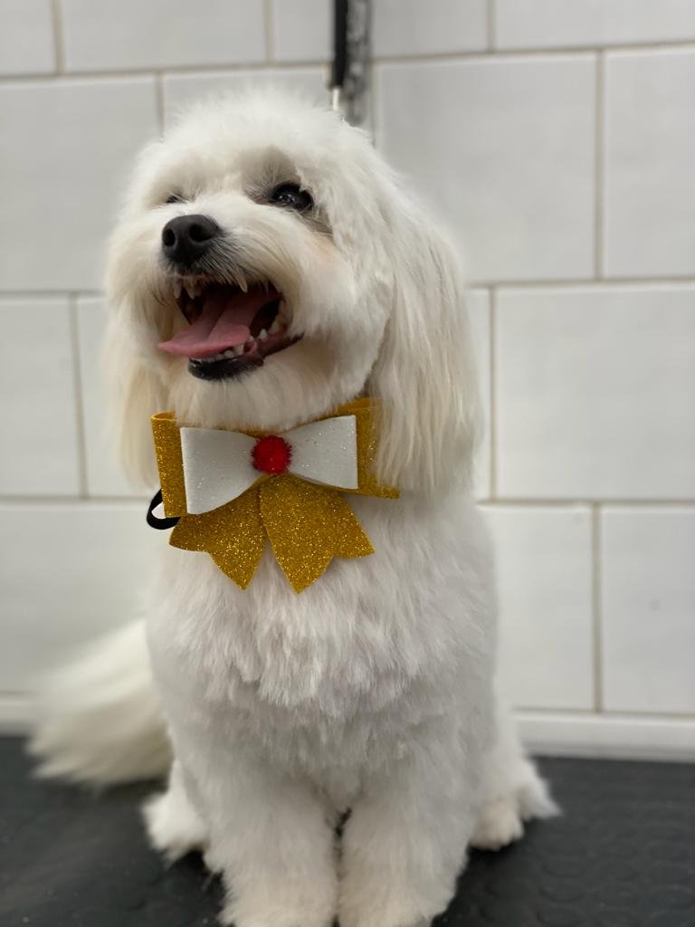 Piccolozoo s.r.l - Foto 4