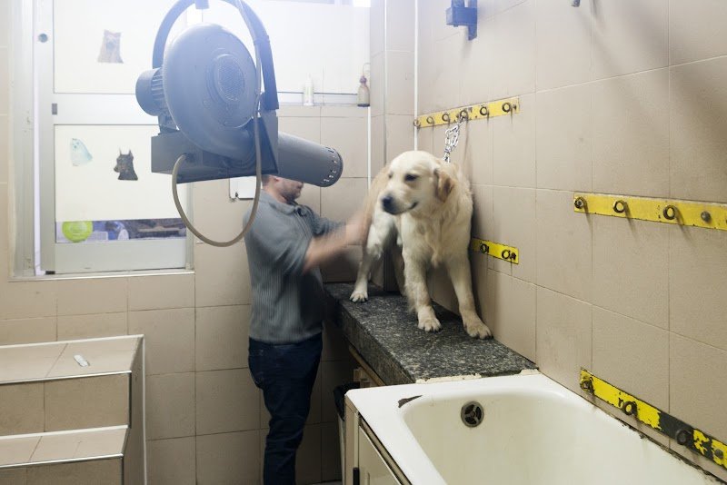 Pietro Inn Di Floro Pietro - Foto 1