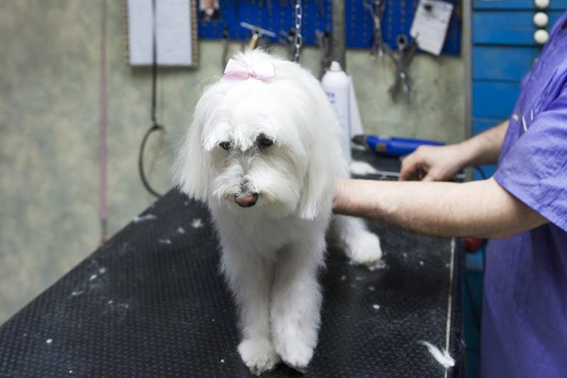 Pietro Inn Di Floro Pietro - Foto 2