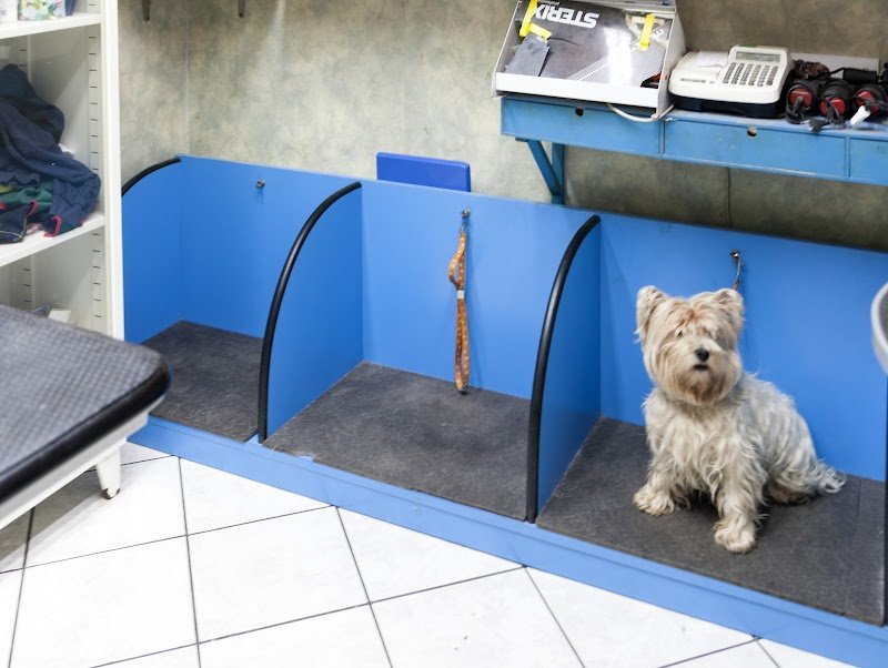 Pietro Inn Di Floro Pietro - Foto 3