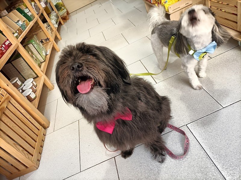 Pietro Inn Di Floro Pietro - Foto 4