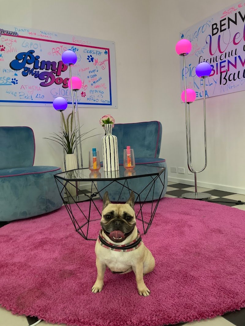 Pimp My Dog - Foto 6