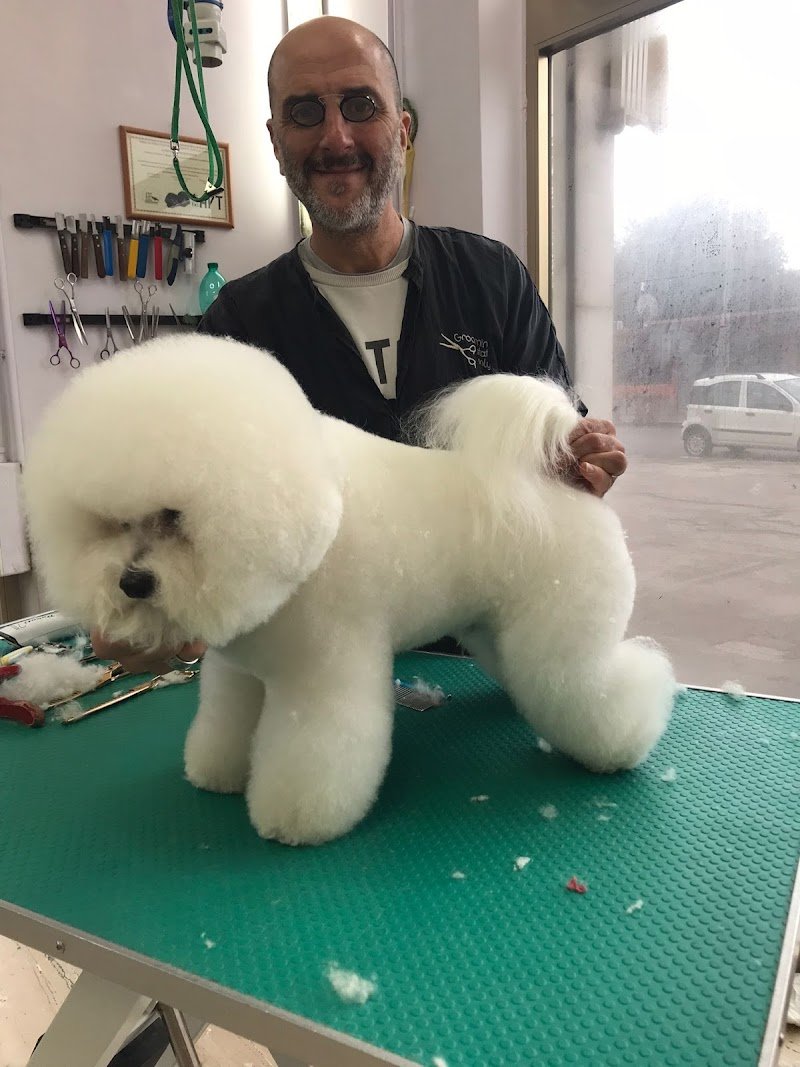 Più Cani Più Belli Snc di Belgioioso Tito e Rino - Foto 1