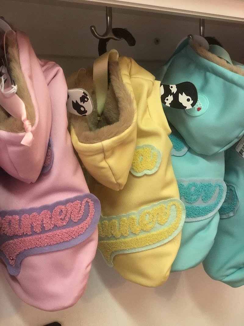 Polly Pet Shop - Toelettatura e SPA - Foto 2