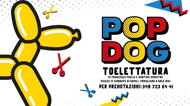 PopDog Toelettatura di Francesca Foglia e Martina Ginestra - Foto 6