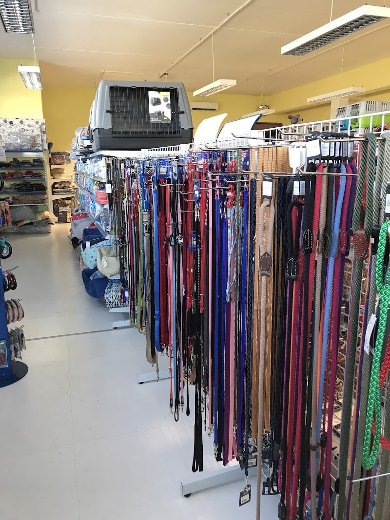 Professional Dog Di Aloigi Luzze Fabio C S A S - Foto 3