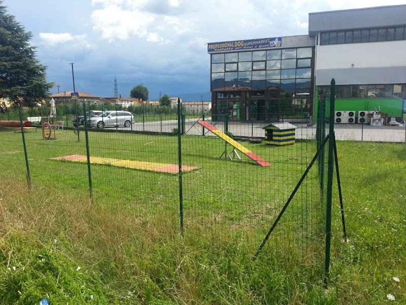 Professional Dog Di Aloigi Luzze Fabio C S A S - Foto 4