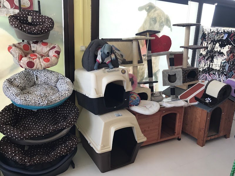 Professional Dog Di Aloigi Luzze Fabio C S A S - Foto 5