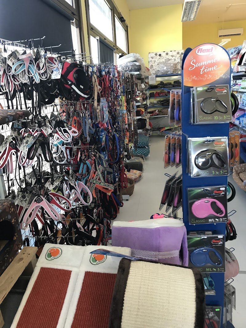 Professional Dog Di Aloigi Luzze Fabio C S A S - Foto 6