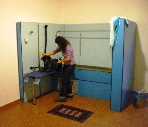 Progetto Cane Pet Shop Taranto - Foto 3