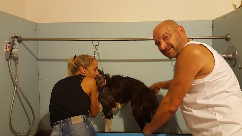 Progetto Cane Pet Shop Taranto - Foto 5