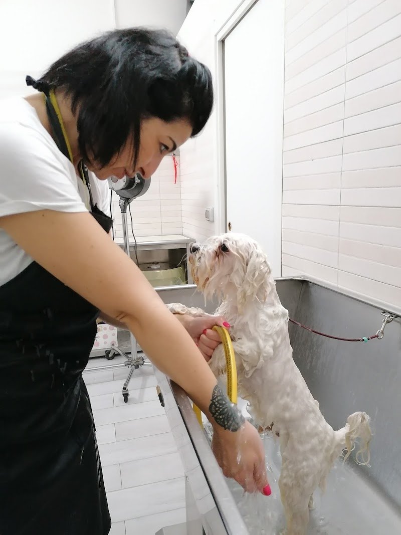 Pulciosi Très Chic - Foto 1