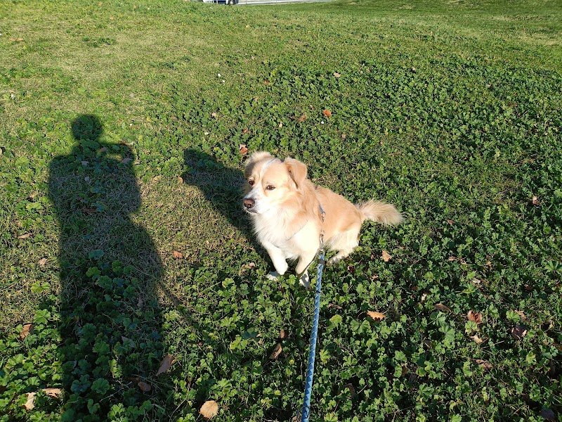 Puliti & Felici - Foto 3