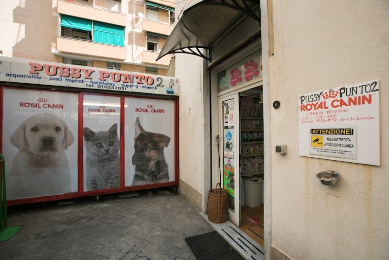 Pussy Punto - Foto 1