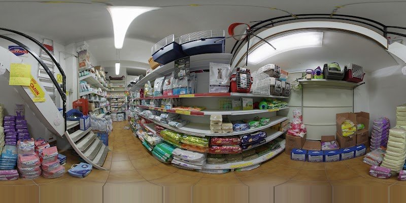 Pussy Punto - Foto 2