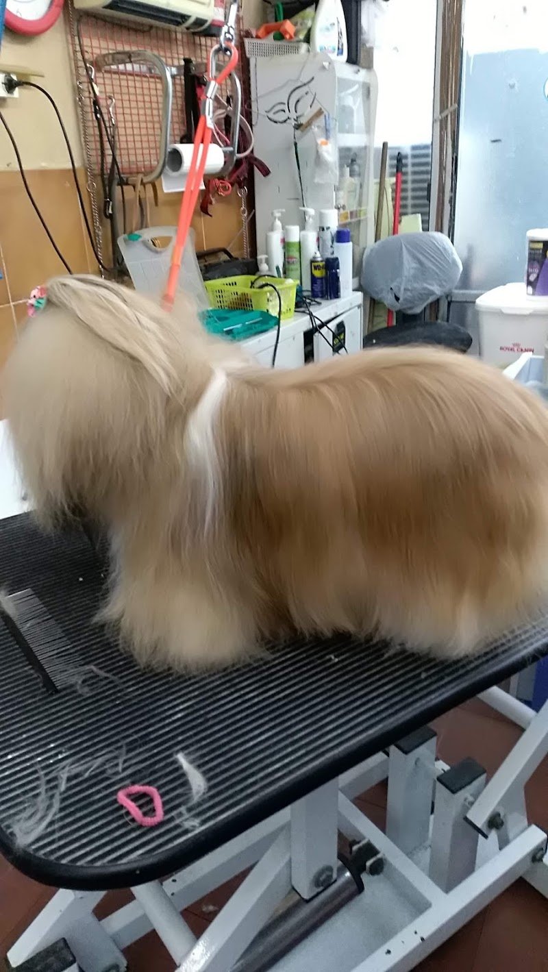 Pussy Punto - Foto 3