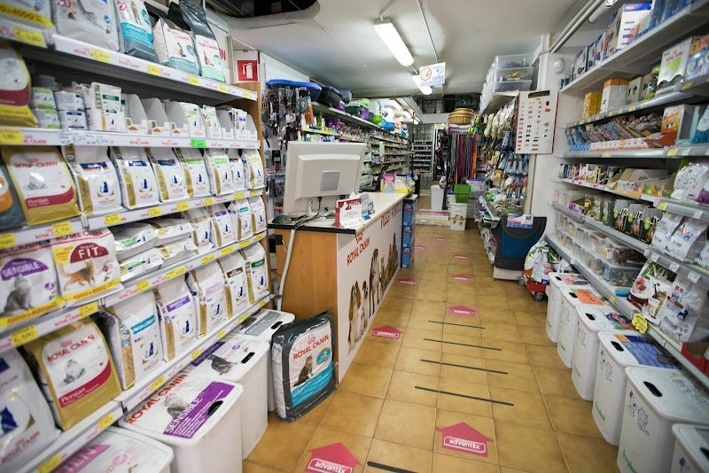 Pussy Punto - Foto 4