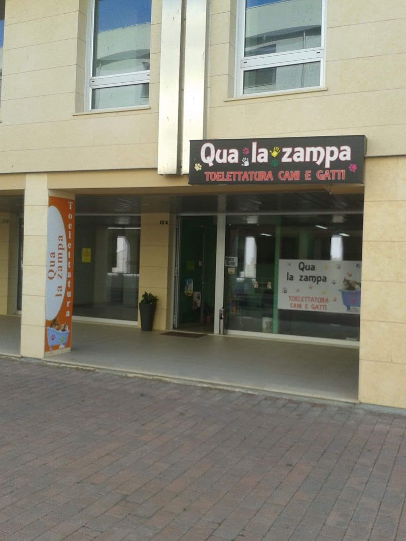 Qua La Zampa - Foto 4