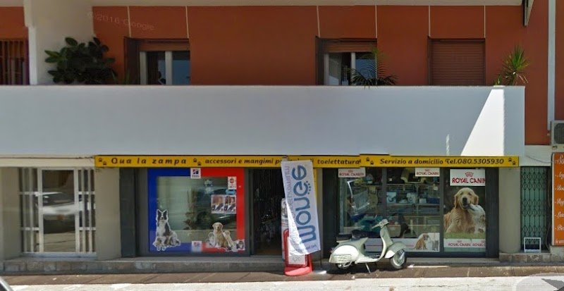 Qua la Zampa - Foto 1