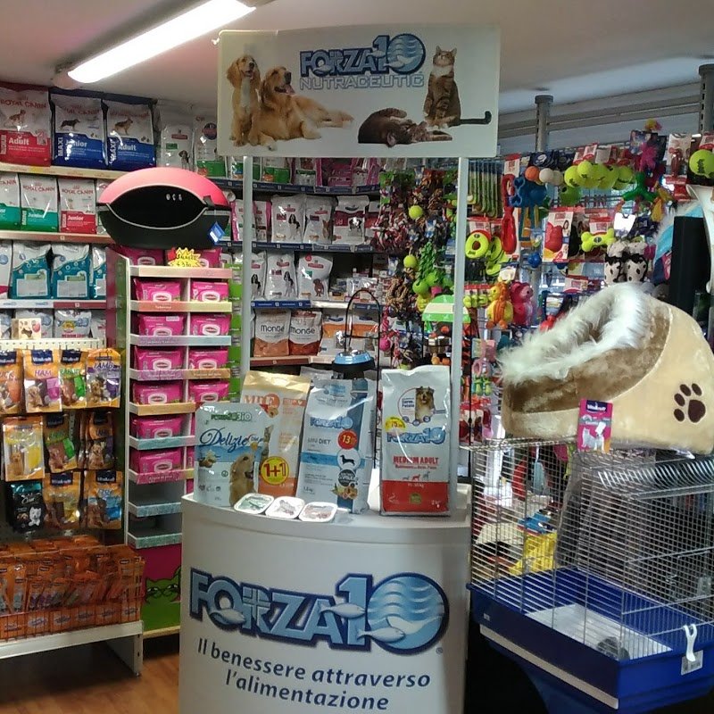 Qua la Zampa - Foto 2