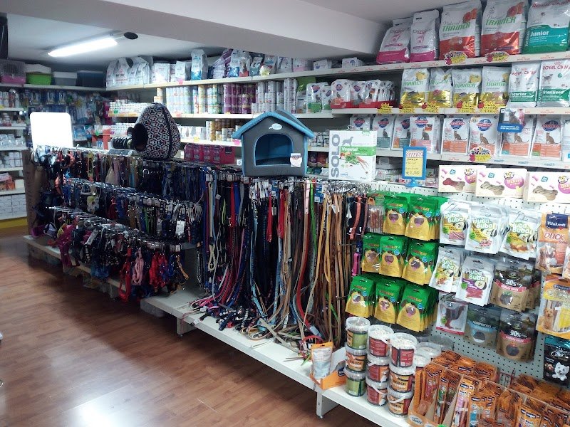 Qua la Zampa - Foto 3