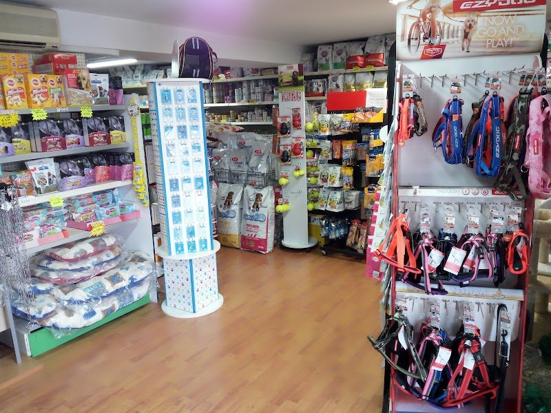 Qua la Zampa - Foto 4