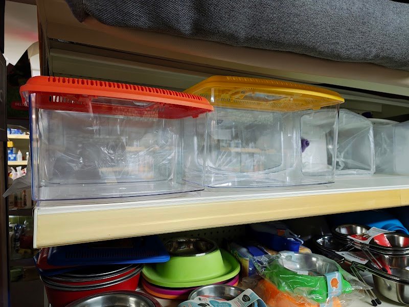 Qua la Zampa - Foto 6