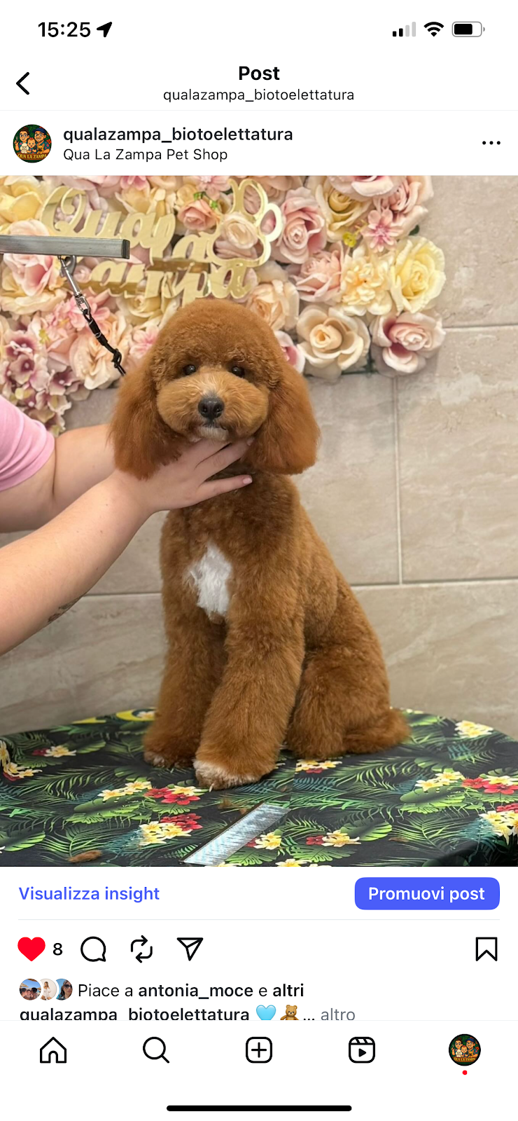 Qua La Zampa Bio Toelettatura - Foto 5