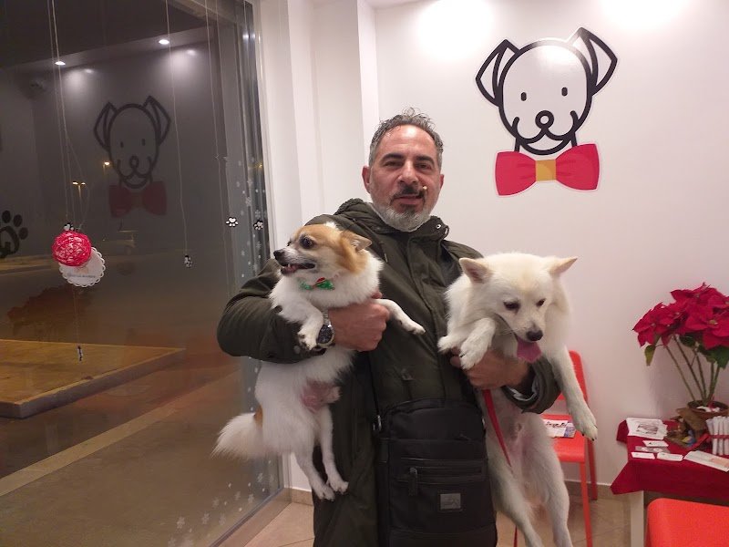 Qua la zampa - Bisceglie - Foto 2