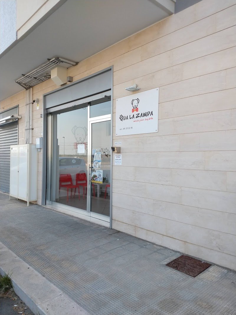 Qua la zampa - Bisceglie - Foto 5