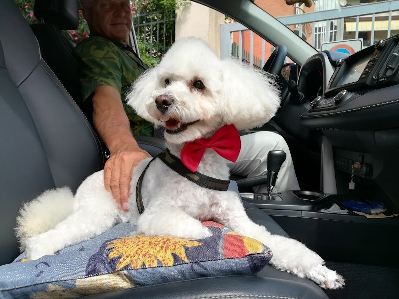 Qua La Zampa - Foto 1