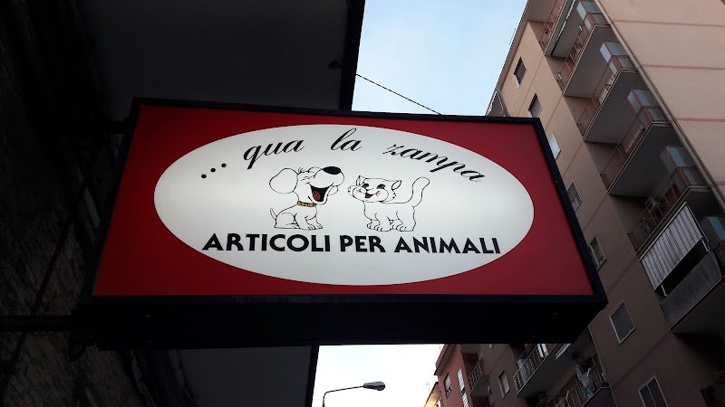 Qua La Zampa Di Davide Contin - Foto 2