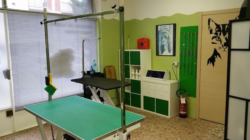 Qua La Zampa- di Giulia Di Valentin - Foto 2