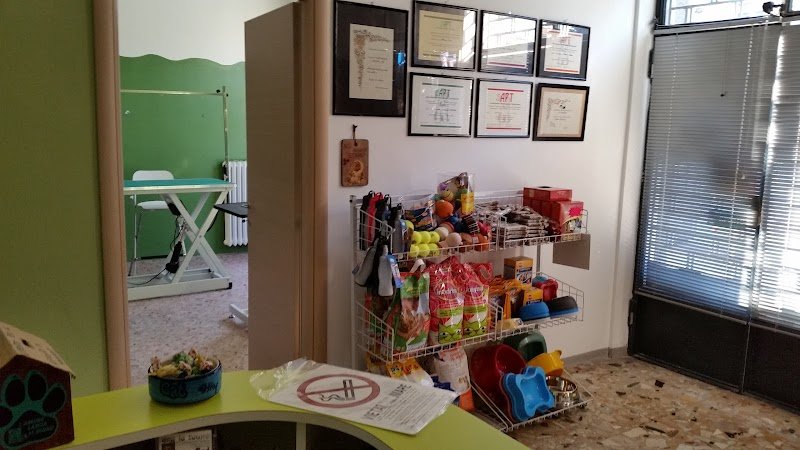 Qua La Zampa- di Giulia Di Valentin - Foto 5