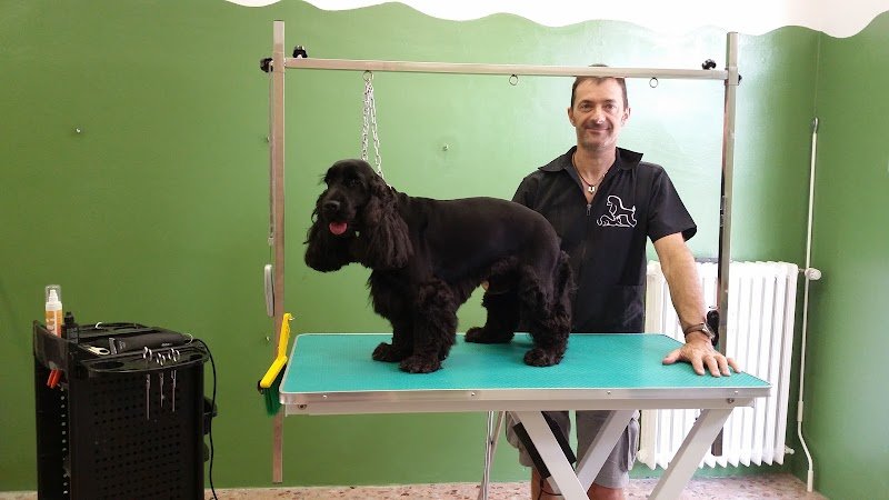 Qua La Zampa- di Giulia Di Valentin - Foto 6