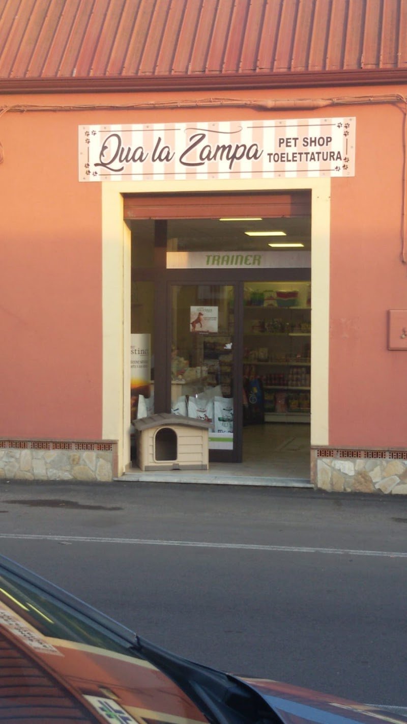 Qua la Zampa Di Greco Mariangela - Foto 5