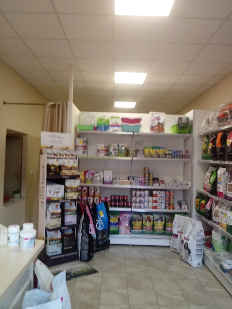 Qua la Zampa Di Greco Mariangela - Foto 6