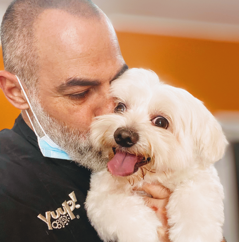 Qua la zampa di Luca Meloni - Foto 2