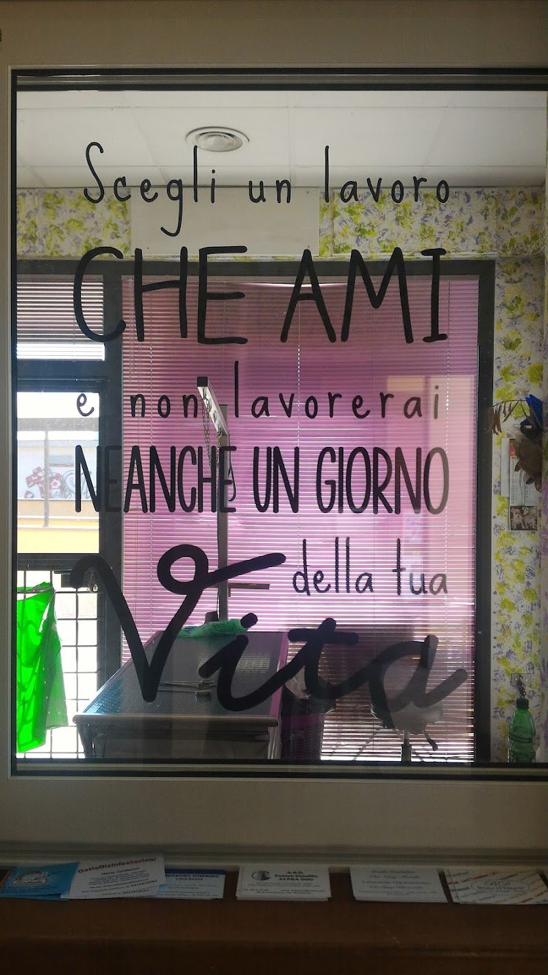 Qua La Zampa Di Mariani Sara - Foto 6