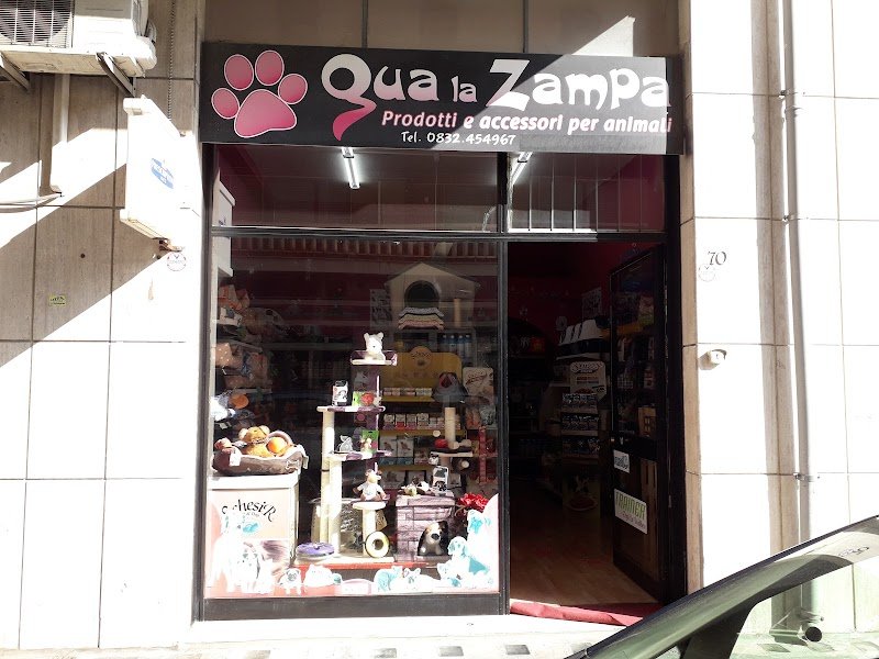 Qua la Zampa di Moschettini Simone - Foto 1