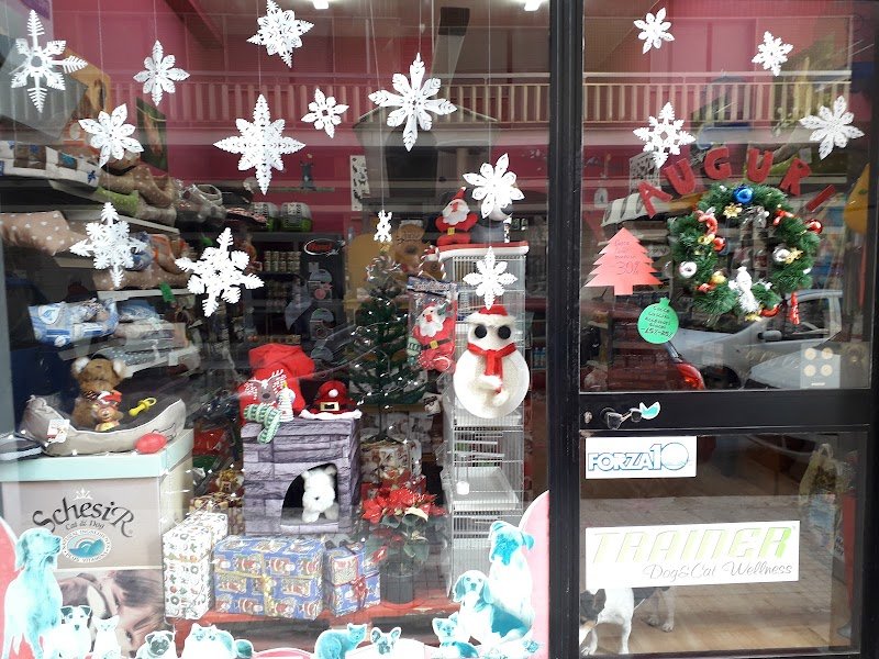 Qua la Zampa di Moschettini Simone - Foto 2