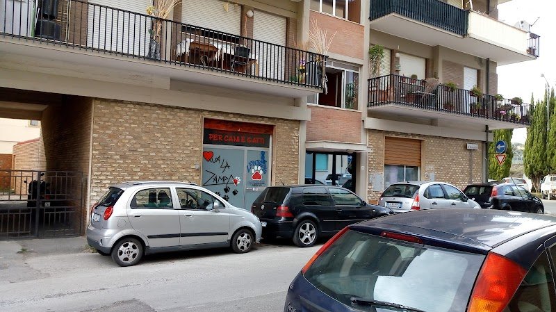 Qua La Zampa - Foto 2