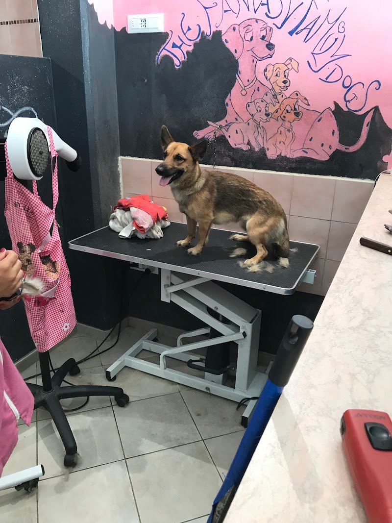 Qua La Zampa - Foto 3