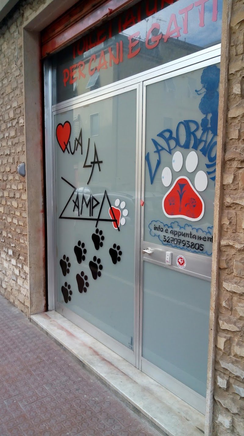 Qua La Zampa - Foto 6