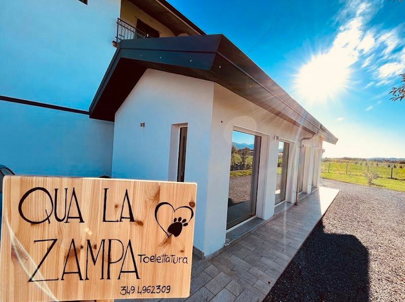 Qua la Zampa - Grooming Salon Cuneo - Foto 5