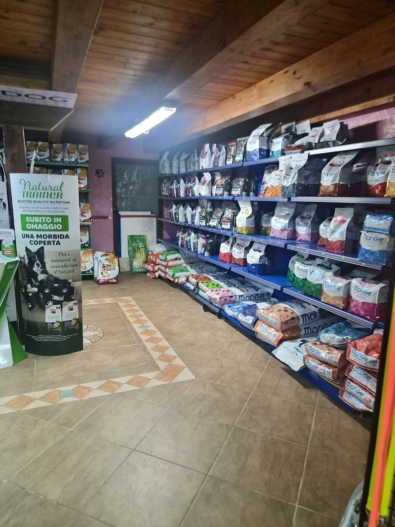 Qua La Zampa - Foto 2