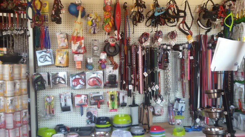 Qua La Zampa - Foto 4